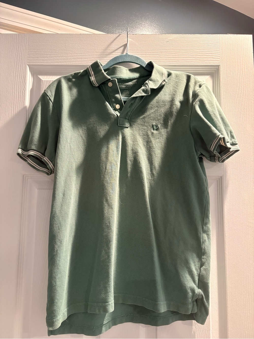 American Eagle Outfitters Sage Green Polo with Contrast Trim